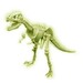 Набор для исследований 4M Светящийся скелет тираннозавра дополнительное фото 1.