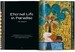 King Tut. The Journey through the Underworld. 40th edition [Taschen] дополнительное фото 7.