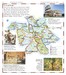 DK Eyewitness Pocket Map and Guide: Rome дополнительное фото 1.