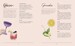 Cocktails in Paris: Fashionable drinks for all seasons [Thames & Hudson] дополнительное фото 1.