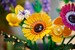 Конструктор LEGO Icons Букет польових квітів 10313 дополнительное фото 10.