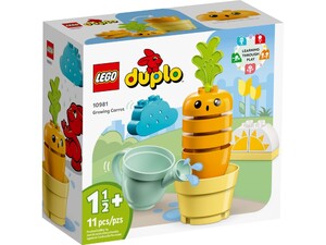 Ігри та іграшки: Конструктор LEGO DUPLO Морква на грядці 10981
