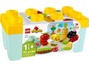 Конструктор LEGO DUPLO Органічний город (в пластиковому кейсі) 10984