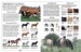 Little book of riding and pony care дополнительное фото 1.