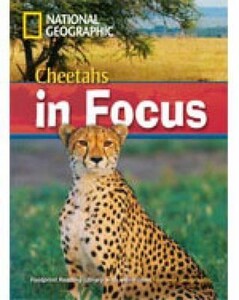 Книги для дорослих: Cheetahs in Focus