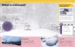 Why? Weather [Dorling Kindersley] дополнительное фото 4.