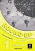 Round-Up Grammar Practice Level 1 Teacher`s Book