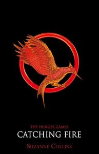 Catching Fire (9781407132099)