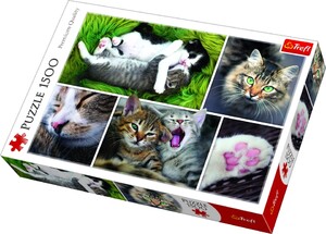 Пазлы и головоломки: Пазл «Фото котов: коллаж», 1500 эл., Trefl
