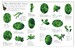 RHS Trees and Leaves Ultimate Sticker Book дополнительное фото 3.