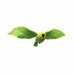Стретч-іграшка у вигляді тварини «Тропічні пташки» в асортименті, #sbabam дополнительное фото 6.