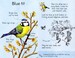 Birds nature cards дополнительное фото 1.