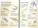 Dinosaurs First sticker book дополнительное фото 1.