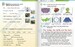 Super Minds (Ukrainian edition) НУШ 3 Super Phonics Book (М'яка обкладинка) [Cambridge University Pr дополнительное фото 2.