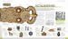 History Year by Year - Dorling Kindersley (9780241605400) [Dorling Kindersley] дополнительное фото 2.