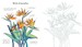 Flowers to colour [Usborne] дополнительное фото 1.