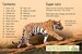 Tigers дополнительное фото 1.