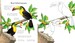 Rainforest wildlife to colour дополнительное фото 1.