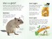 Looking after gerbils дополнительное фото 1.