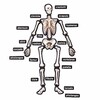 3-D Magnetic Skeleton
