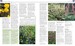 RHS Encyclopedia of Perennials дополнительное фото 4.