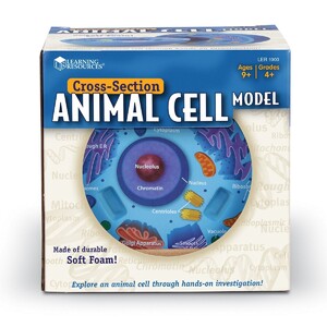 Природознавство: Навчальна модель "Клітина тварини в розрізі" Learning Resources