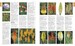 RHS A-Z Encyclopedia of Garden Plants 4th edition дополнительное фото 1.