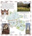 DK Eyewitness Pocket Map & Guide Dublin дополнительное фото 1.