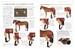 Complete Horse Care Manual дополнительное фото 2.