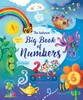 Big book of numbers [Usborne]
