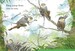 Monkeys - твёрдая обложка дополнительное фото 1.