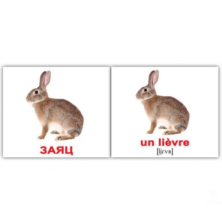 Вивчення іноземних мов: Міні-20: Дикі тварини Les animaux sauvages (рос-франц)