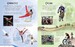 The Olympic Games picture book [Usborne] дополнительное фото 2.