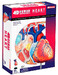 Анатомічна модель Серце людини, 4D Master дополнительное фото 1.