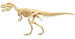 Анатомічна модель Динозавр Тиранозавр Рекс, 4D Master дополнительное фото 4.