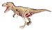 Анатомічна модель Динозавр Тиранозавр Рекс, 4D Master дополнительное фото 1.