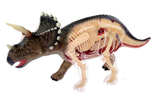 Анатомічні моделі-конструктори: Анатомічна модель Динозавр Трицератопс, 4D Master