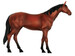 Анатомічна модель Кінь, 4D Master дополнительное фото 3.