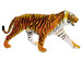 Анатомічна модель Тигр, 4D Master дополнительное фото 2.