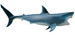 Анатомическая модель Большая белая акула, 4D Master дополнительное фото 3.