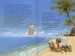 The story of pirates дополнительное фото 2.