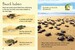 Seashore дополнительное фото 3.