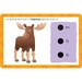 Набор развивающих карточек "Английские слова" для говорящей ручки Hot Dots Educational Insights дополнительное фото 2.