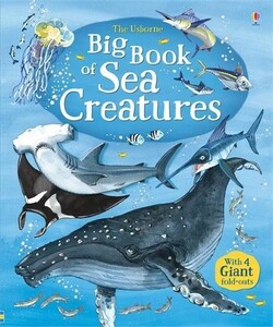 Книги для дітей: Big Book of Sea Creatures [Usborne]
