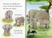 Elephants - Intermediate дополнительное фото 2.