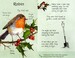Birds nature cards дополнительное фото 2.