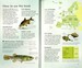 Spotter's Guides: Sea and freshwater fish дополнительное фото 2.