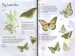 Butterflies sticker book дополнительное фото 2.