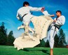 Каратист, Мир деревянных игрушек