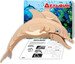 Дельфин, Мир деревянных игрушек дополнительное фото 1.